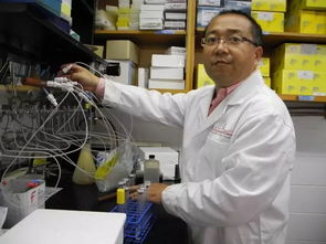 科技賦能，古樹新生 姜明國與生物科技讓六堡茶煥發青春